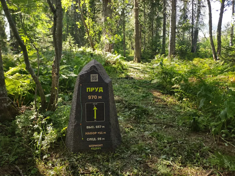 Визуальный прототип навигационного камня на лесной тропе