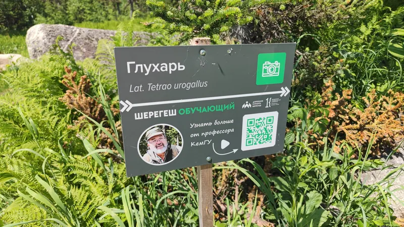 Информационная табличка о глухаре у туристической тропы