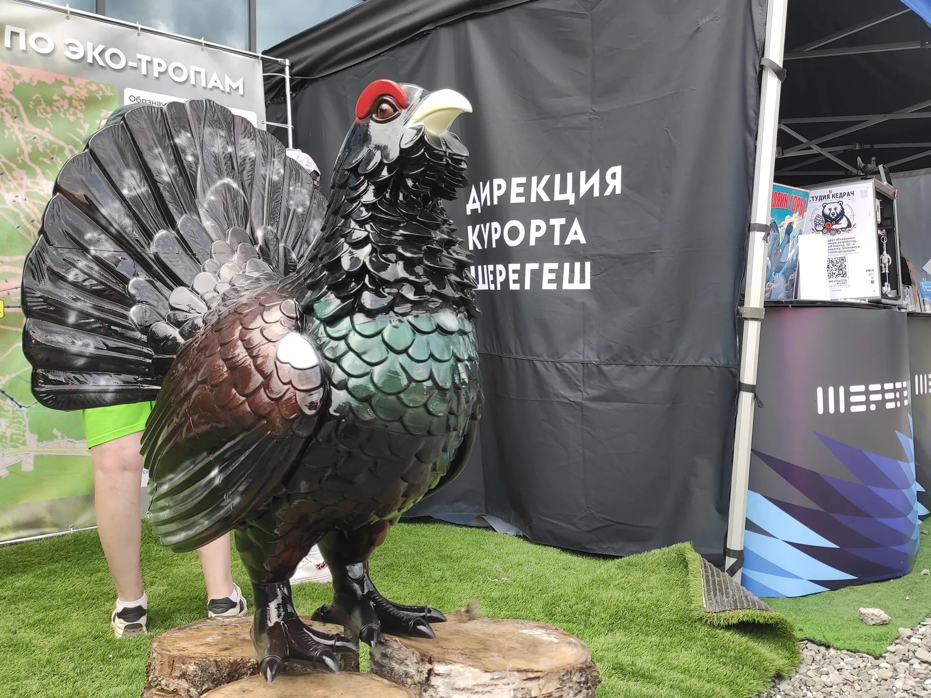 Полноразмерная скульптура глухаря на площадке фестиваля
